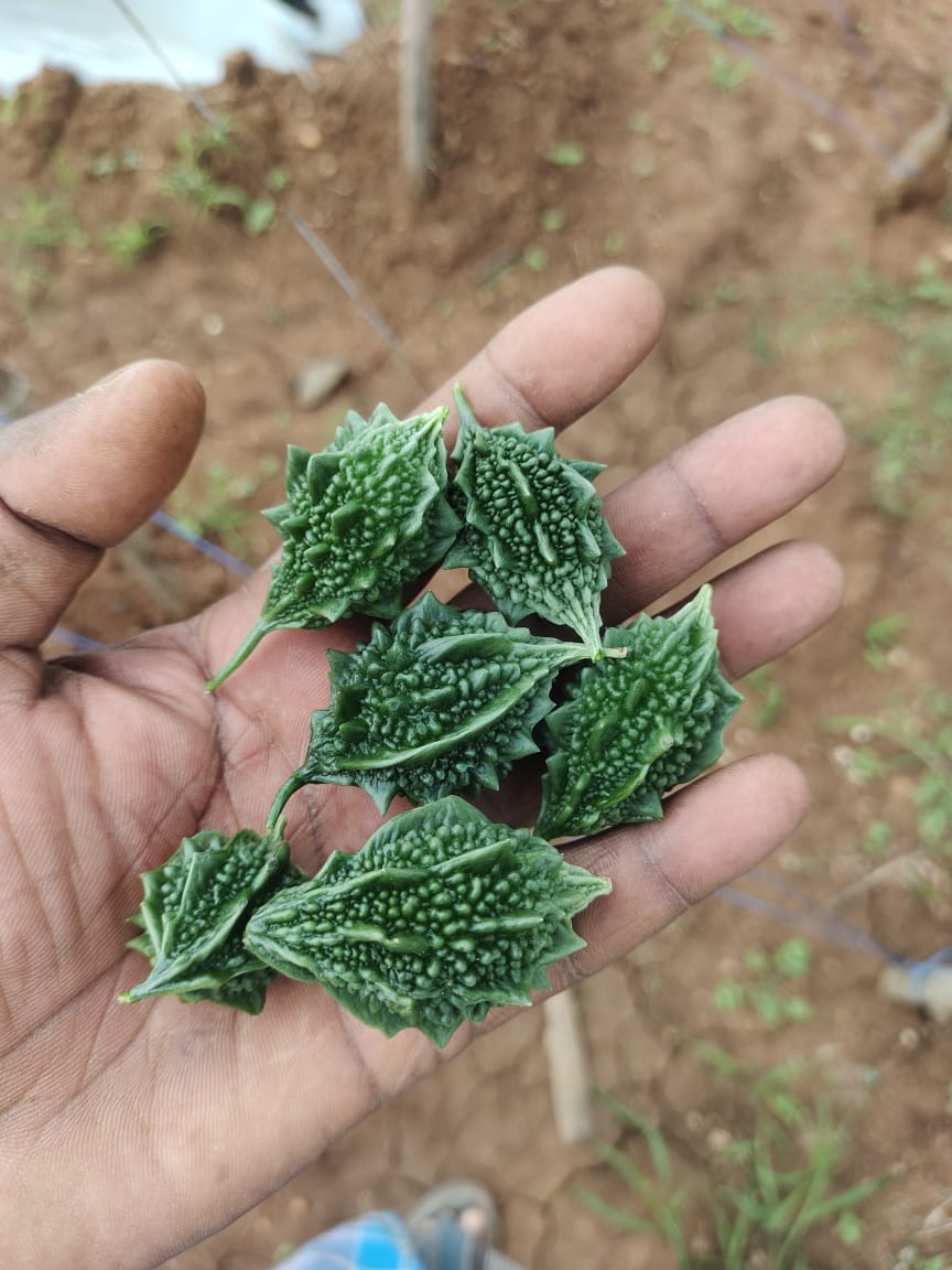 veg